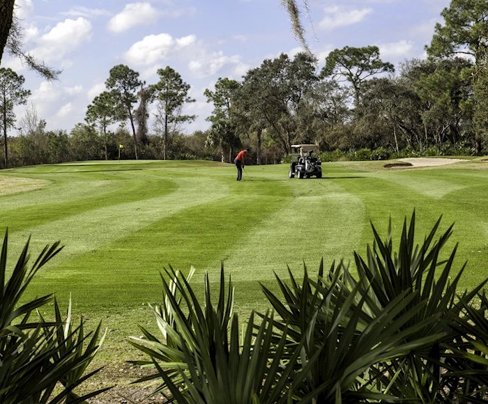 Golfing at the Retreat At Champions Gate in Orlando